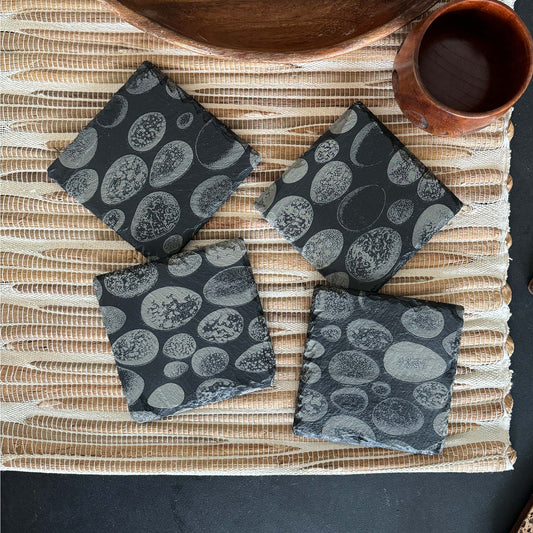 Bird Egg Slate Coasters