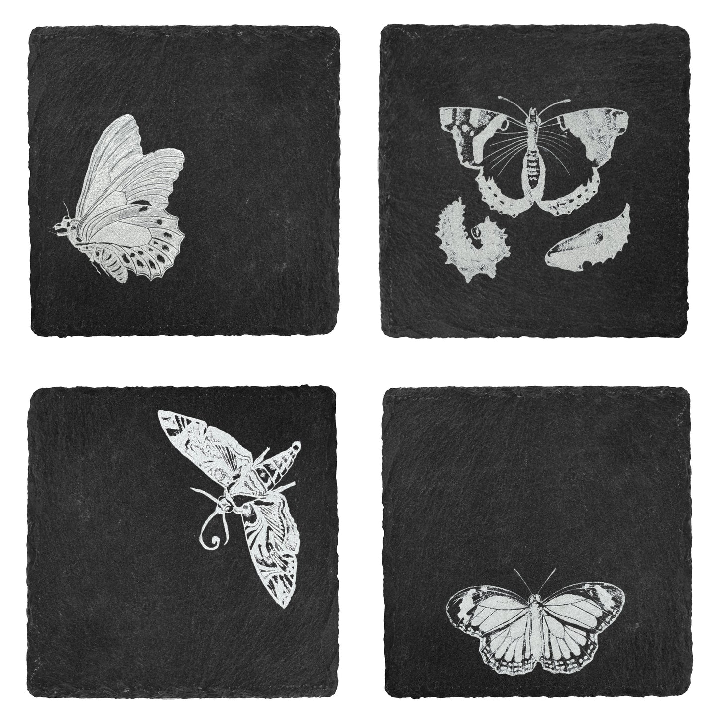 Butterfly Slate Coasters