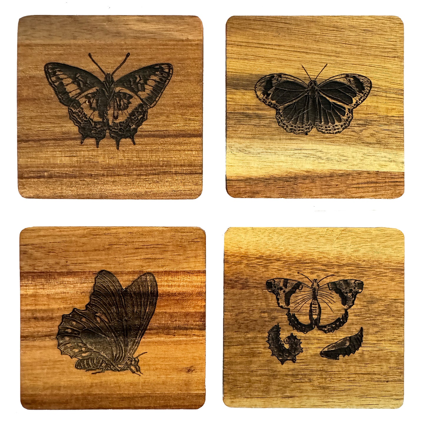 Butterfly Wood Coasters