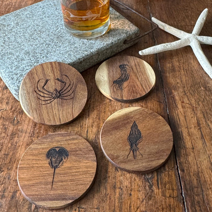 Coastal Wood Coasters