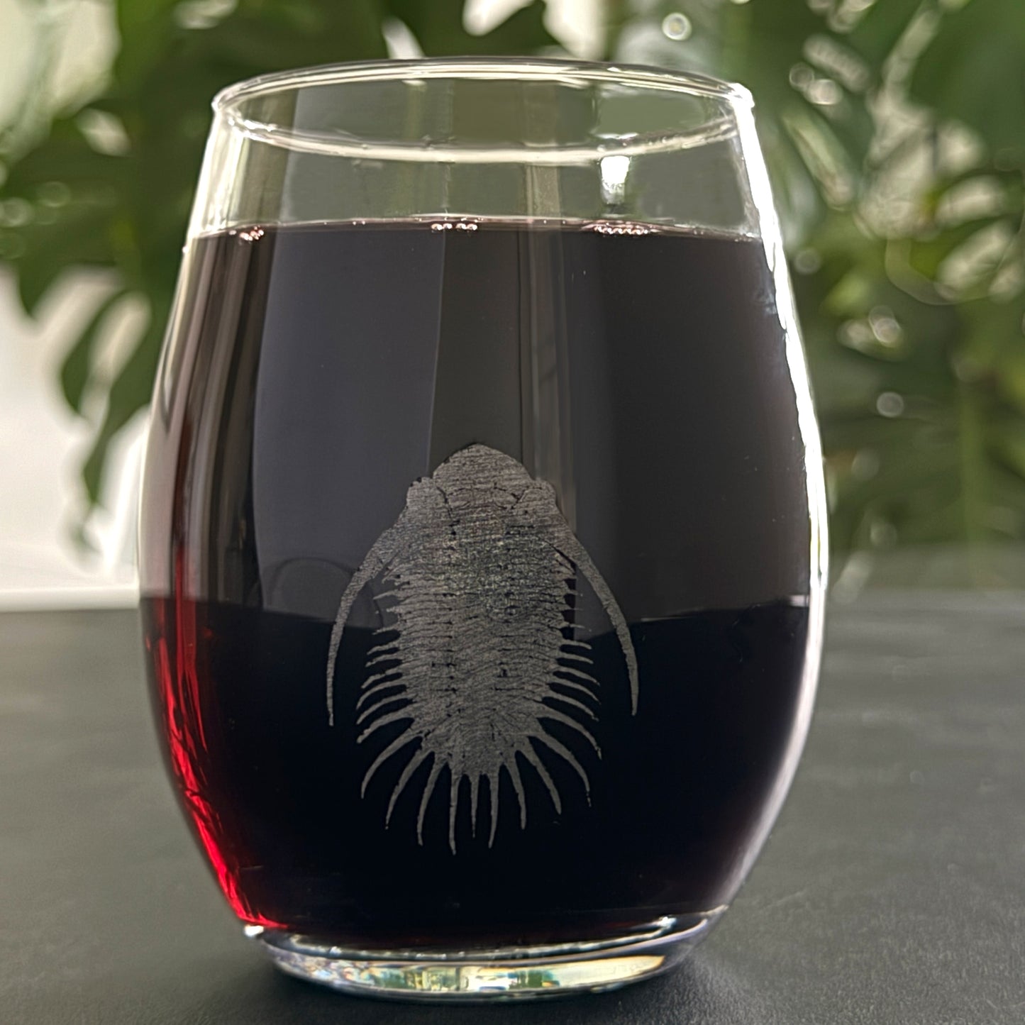 Fossil Wine Glasses