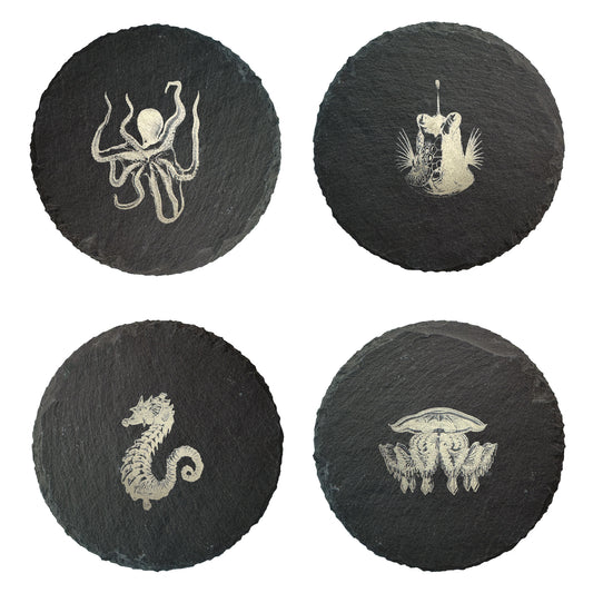 Ocean Life Slate Coasters