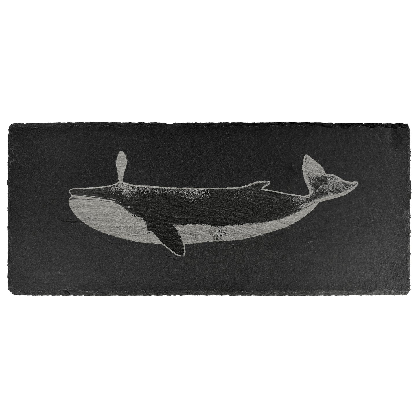 Ocean Life Serving Boards