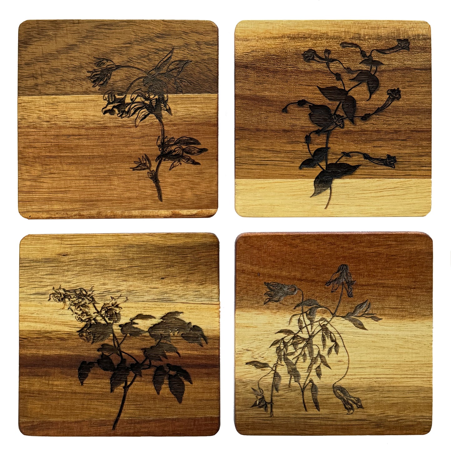 Meadow Wood Coasters