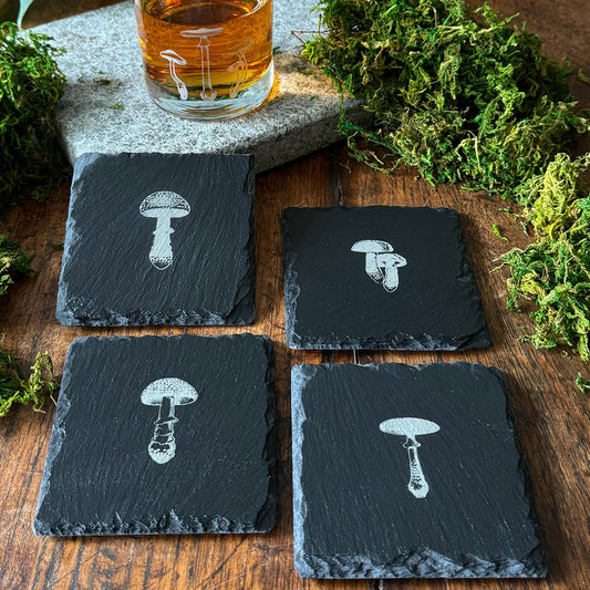 Mushroom Slate Coasters