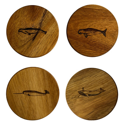 Ocean Life Wood Coasters