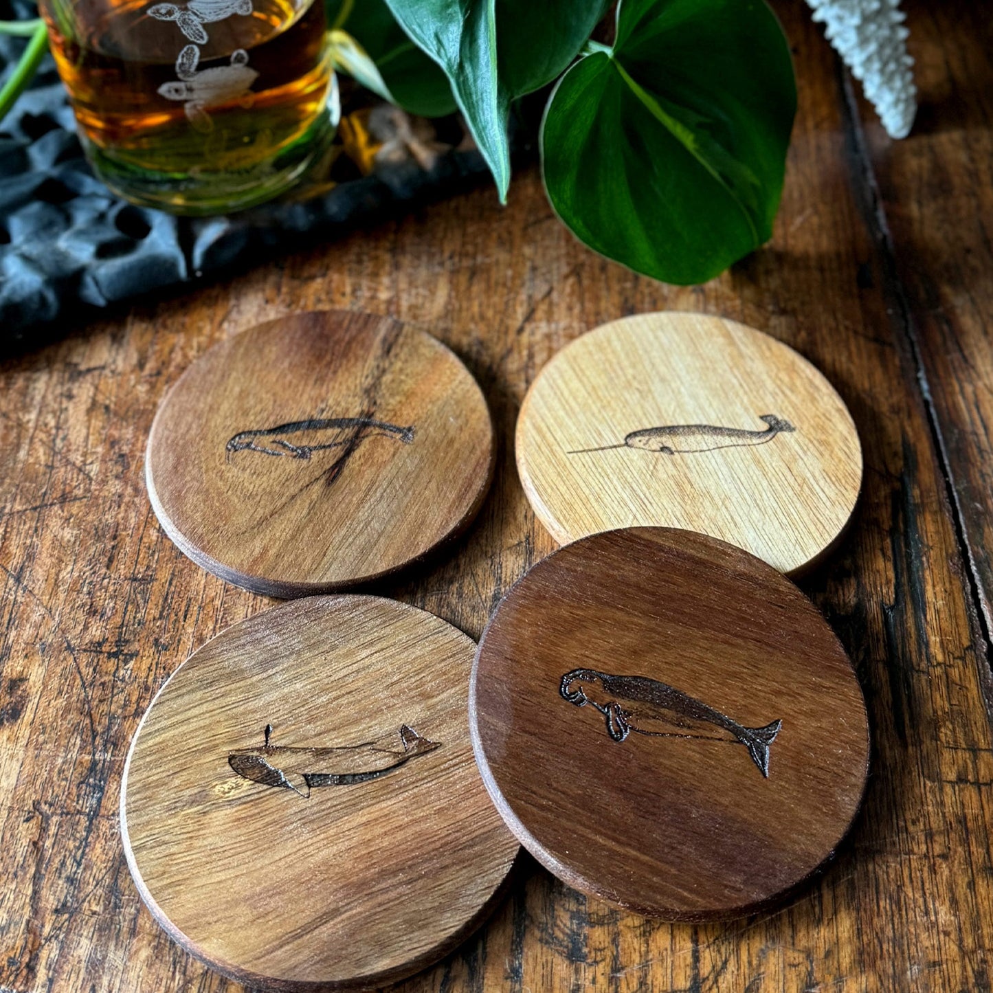 Ocean Life Wood Coasters