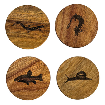 Pond Life Wood Coasters