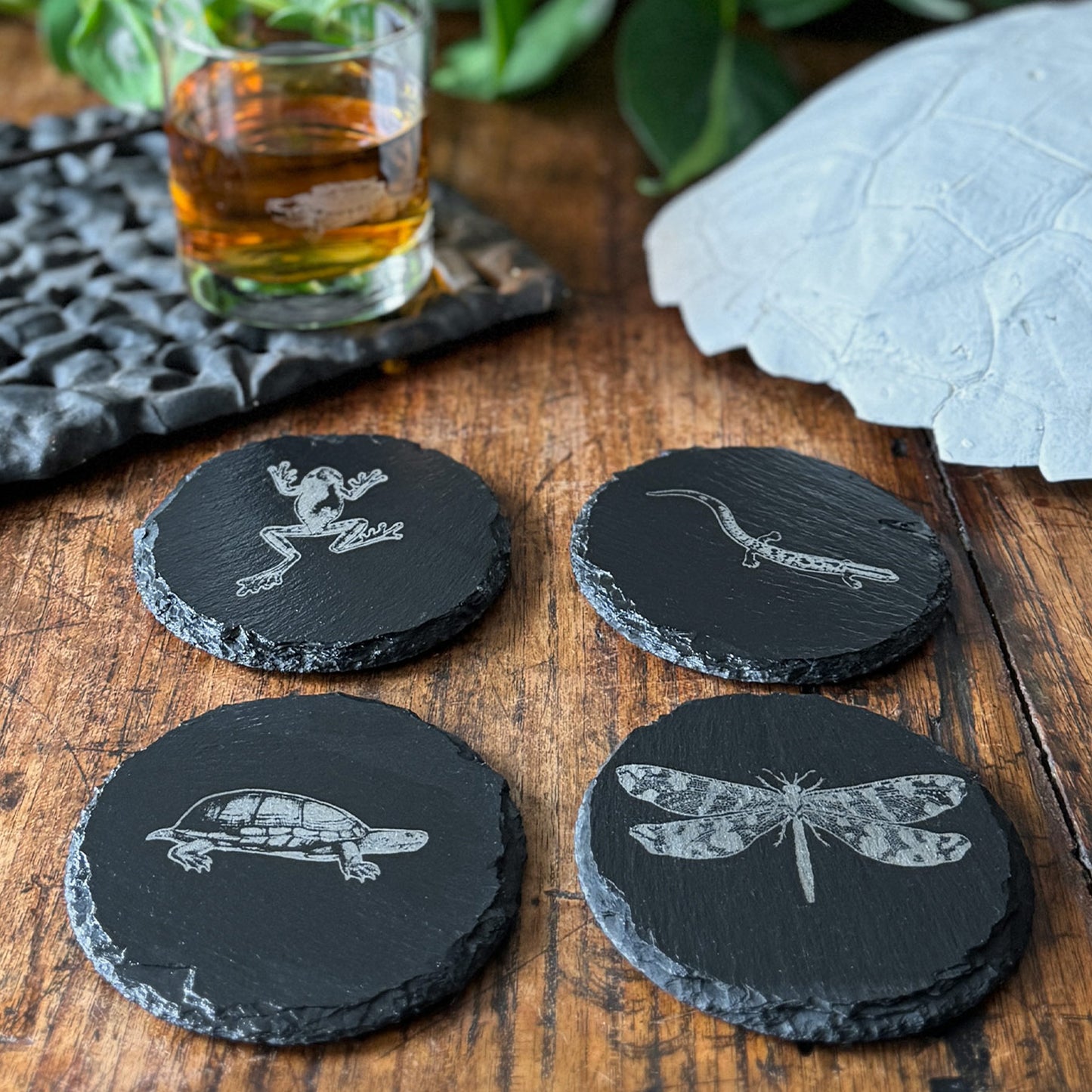 Pond Life Slate Coasters