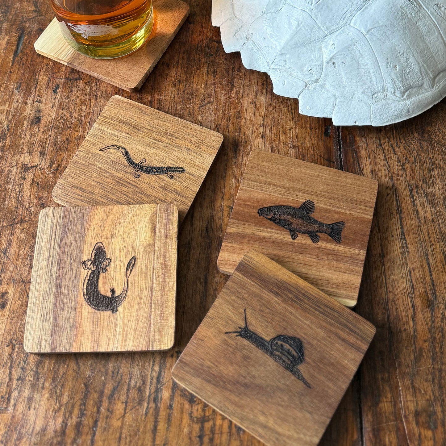 Pond Life Wood Coasters