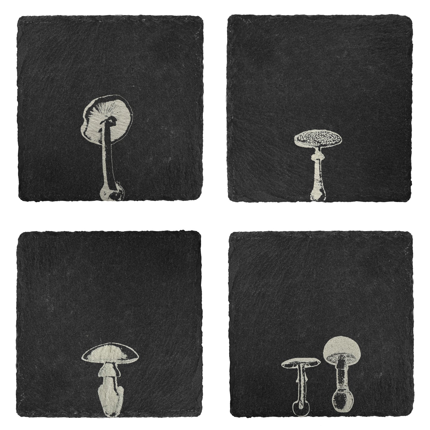 Mushroom Slate Coasters