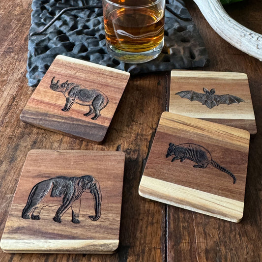 Wild Life Wood Coasters