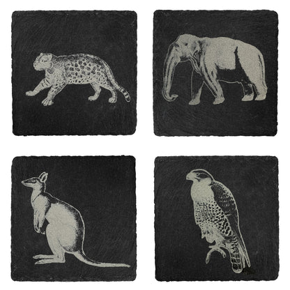 Wild Life Slate Coasters